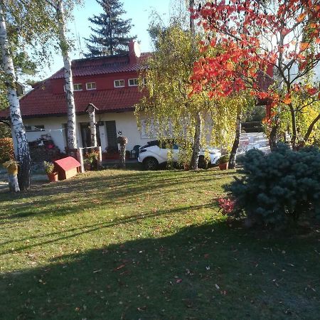 Villa Blanka Horní Podkozí Buitenkant foto