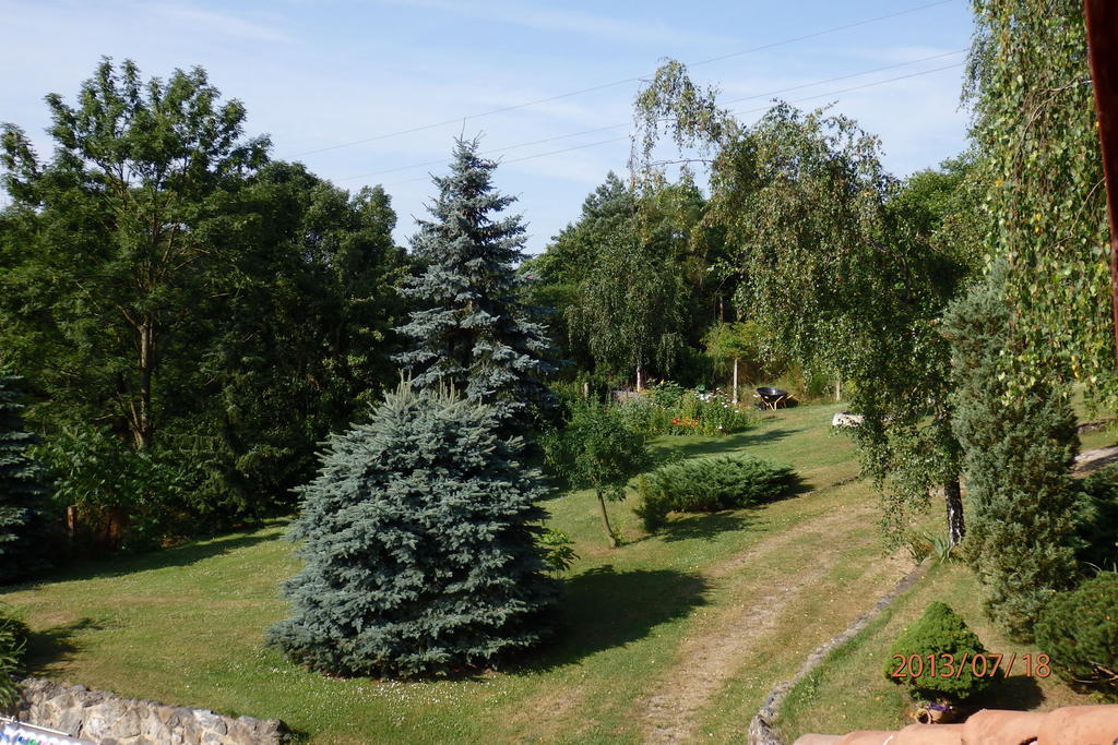 Villa Blanka Horní Podkozí Buitenkant foto