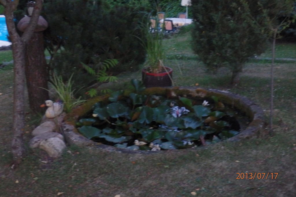 Villa Blanka Horní Podkozí Buitenkant foto