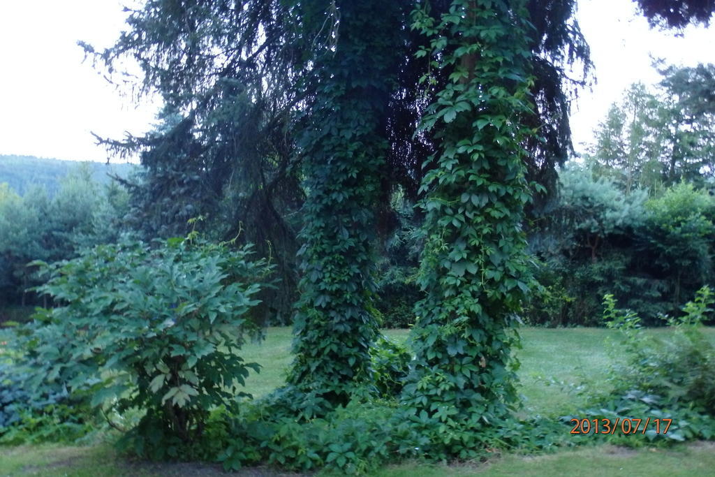 Villa Blanka Horní Podkozí Buitenkant foto