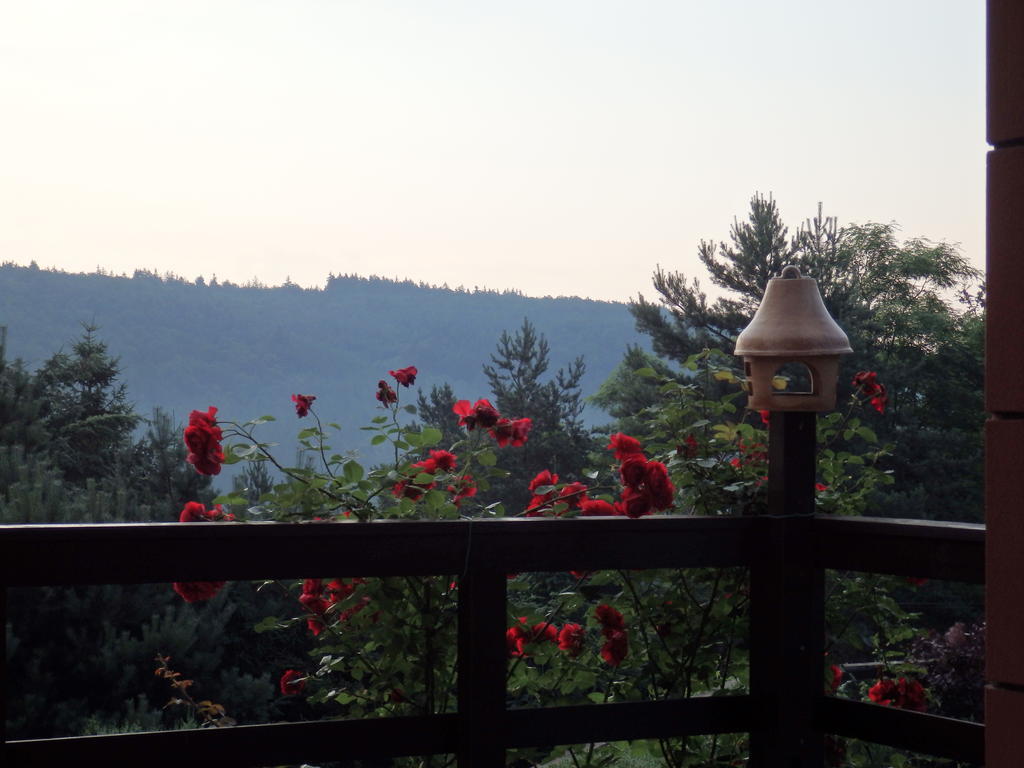 Villa Blanka Horní Podkozí Buitenkant foto