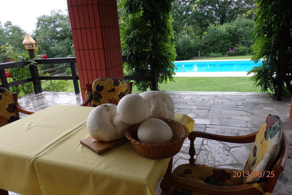 Villa Blanka Horní Podkozí Buitenkant foto