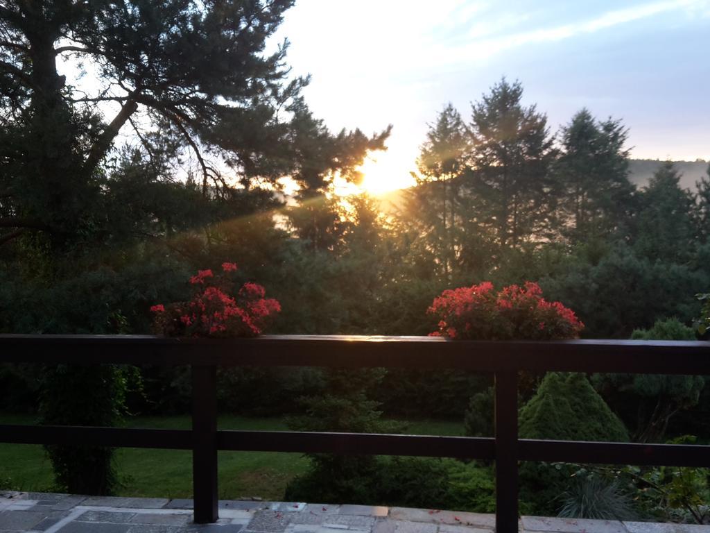 Villa Blanka Horní Podkozí Buitenkant foto