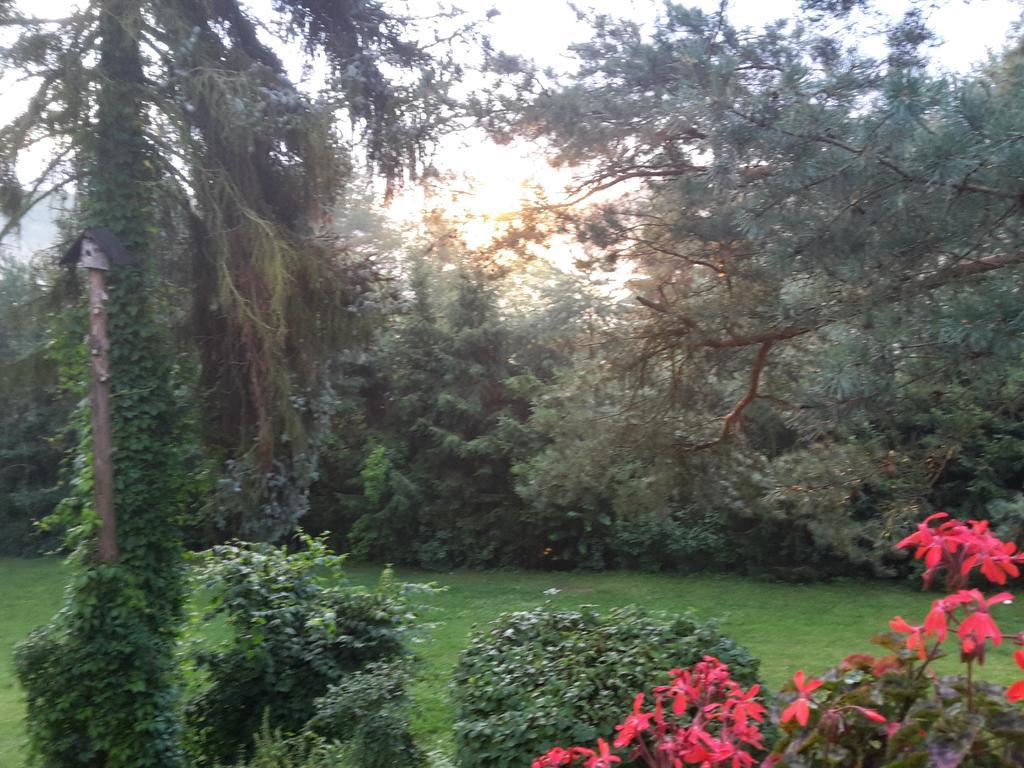 Villa Blanka Horní Podkozí Buitenkant foto