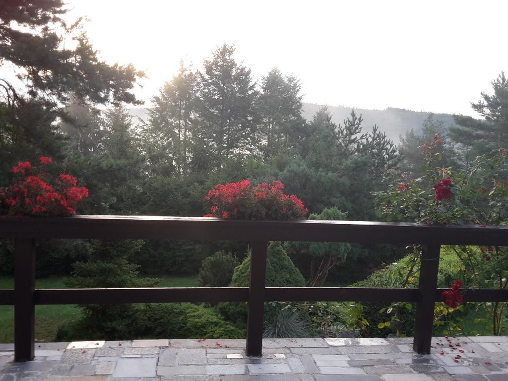 Villa Blanka Horní Podkozí Buitenkant foto