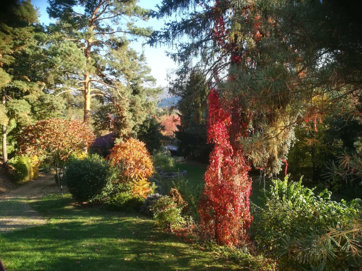 Villa Blanka Horní Podkozí Buitenkant foto